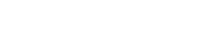 Versteh Dein Pferd - Reitlehrer Rosenheim